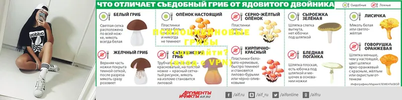 Галлюциногенные грибы мухоморы  Вологда 